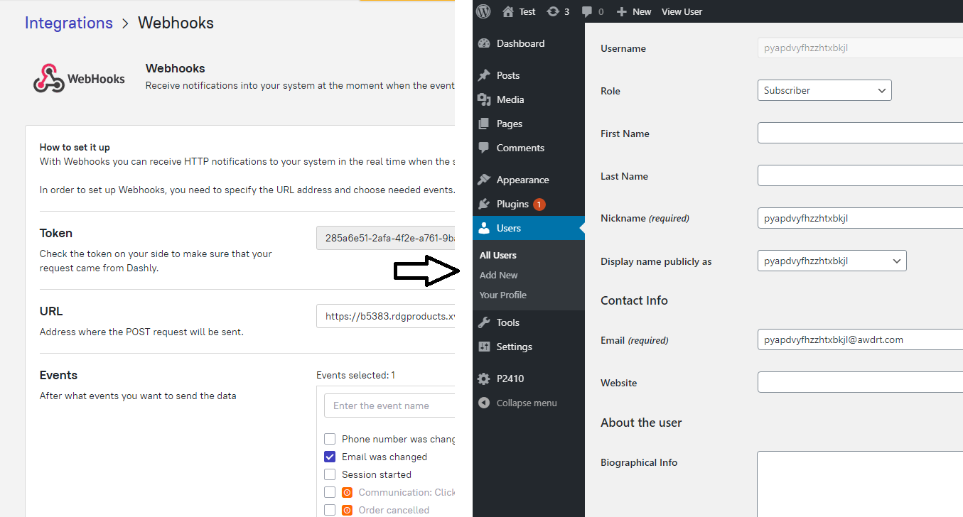 Webhook from Dashly triggering automatic WordPress account creation – test user generated upon email submission in chatbot.